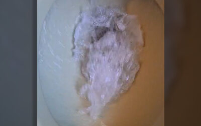 Toilette entkalken mit vorher-nachher-Video